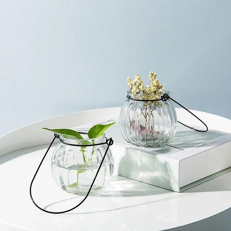 Hanging Glass Vase Air Plant Decorative Bottle | Modern Air Plant Holder