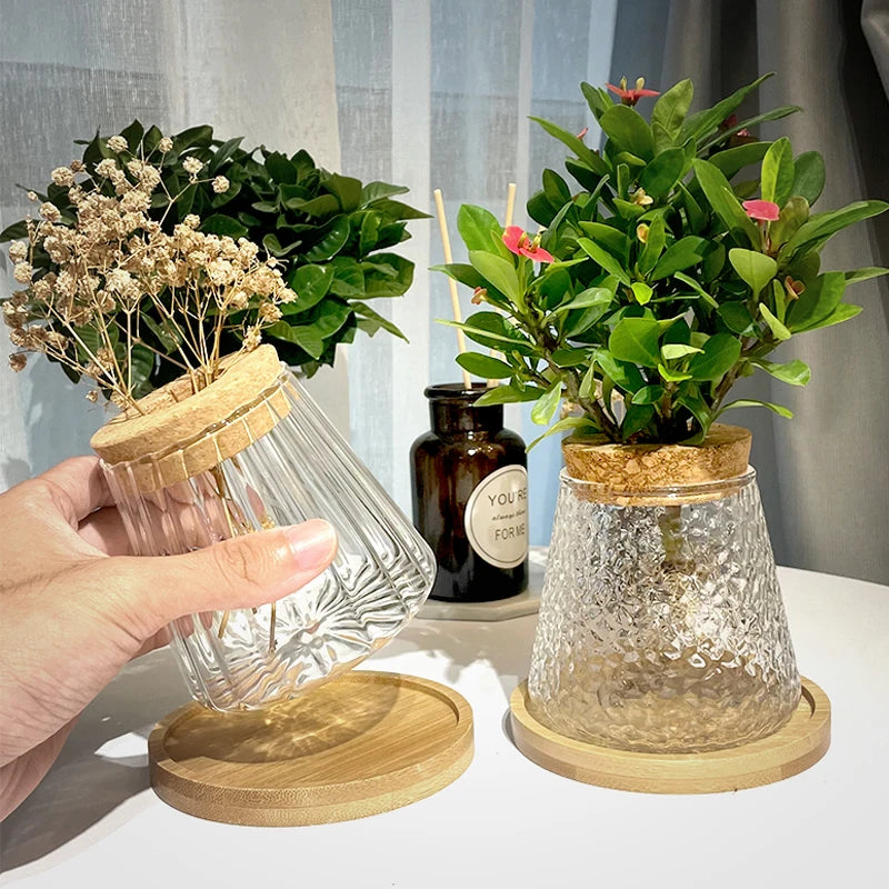 Glass Vase Hydroponic Plants | Modern Soil-Free Propagation Vase