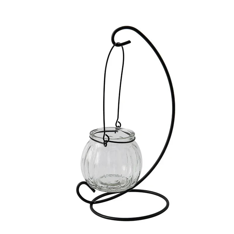 Hanging Glass Vase Air Plant Decorative Bottle | Modern Air Plant Holder