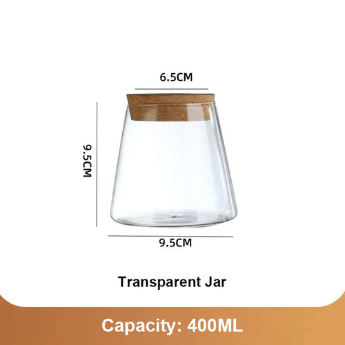 Glass Vase Hydroponic Plants | Modern Soil-Free Propagation Vase