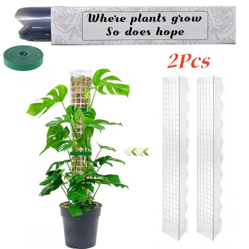 Moss Pole Plastic Plant Support | Indoor Climbing Plant Pole for Vines