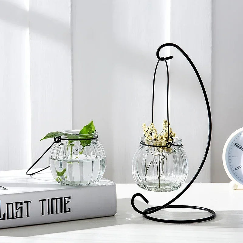 Hanging Glass Vase Air Plant Decorative Bottle | Modern Air Plant Holder