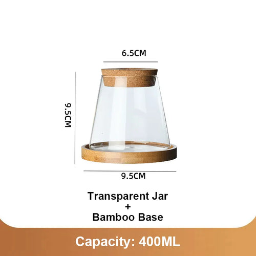 Glass Vase Hydroponic Plants | Modern Soil-Free Propagation Vase