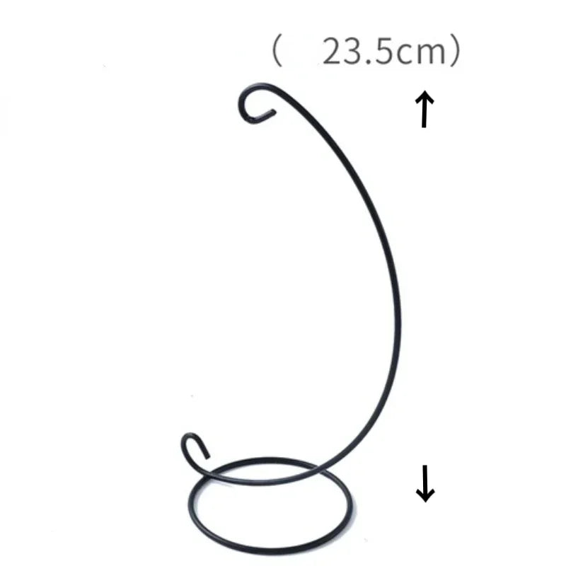 Hanging Glass Vase Air Plant Decorative Bottle | Modern Air Plant Holder