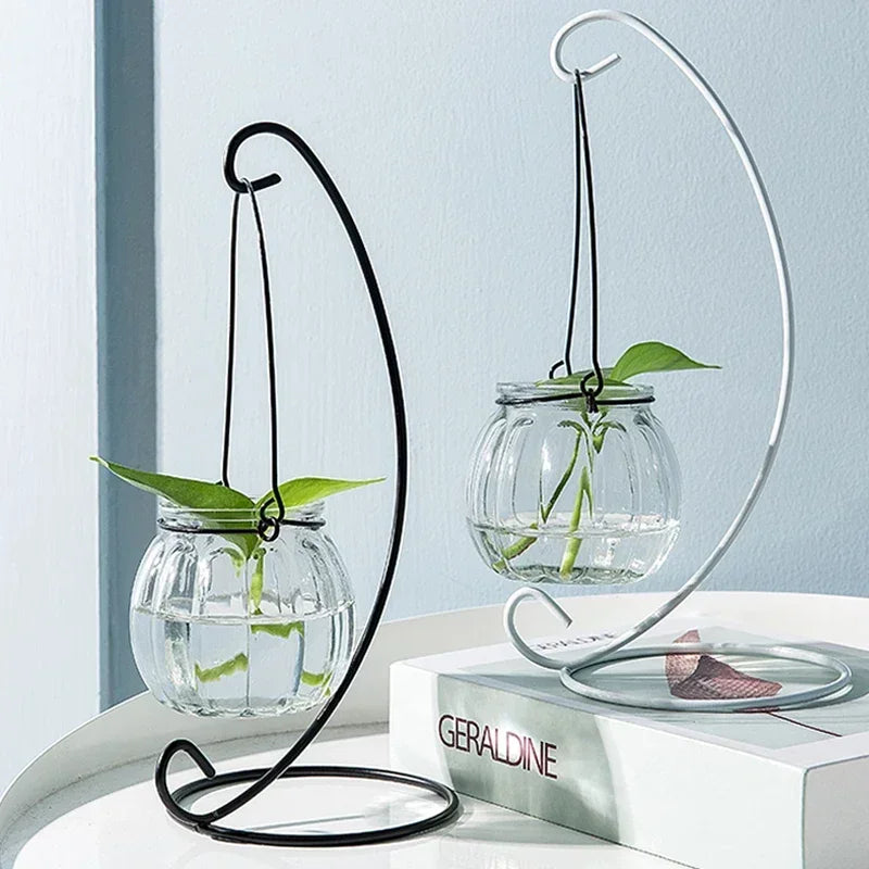 Hanging Glass Vase Air Plant Decorative Bottle | Modern Air Plant Holder