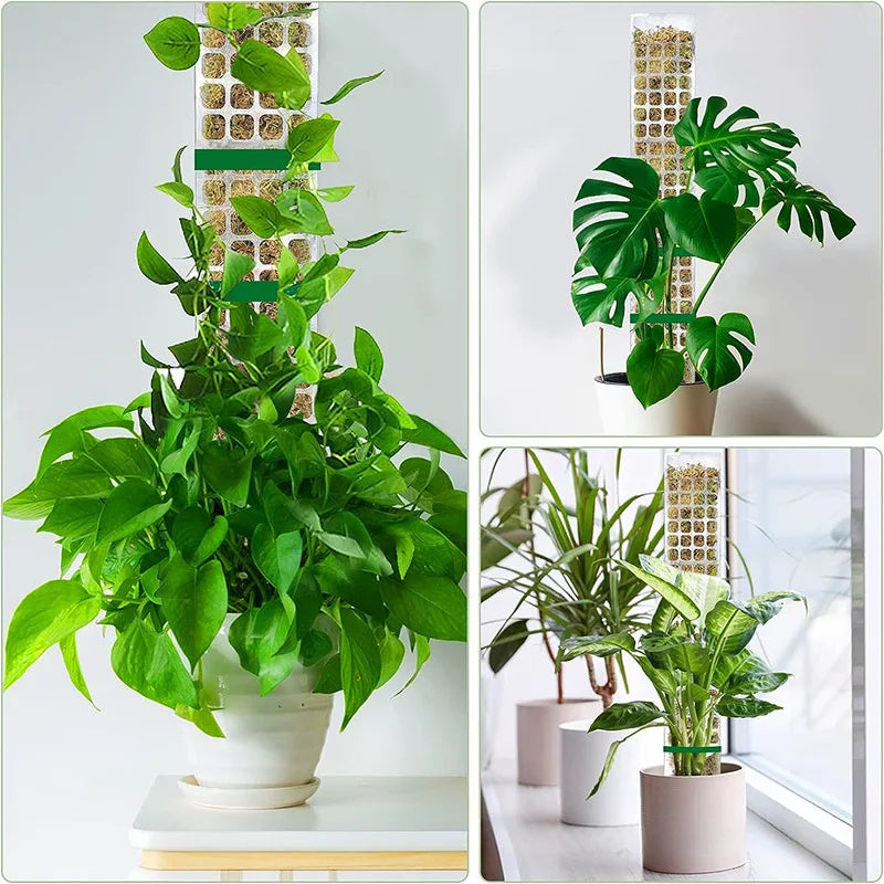 Moss Pole Plastic Plant Support | Indoor Climbing Plant Pole for Vines