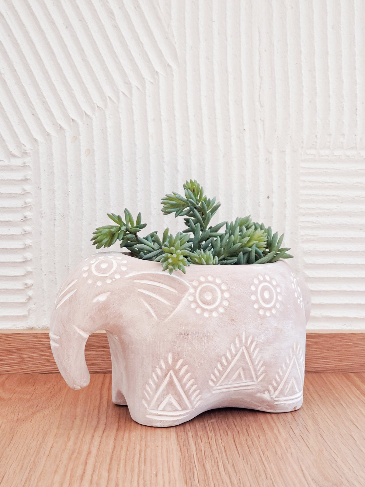 Terracotta Pot - Folk Elephant - Chic Plant Boutique