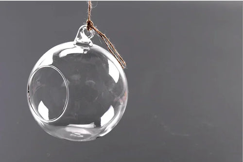 Hanging Glass Vase Air Plant Decorative Bottle | Modern Air Plant Holder