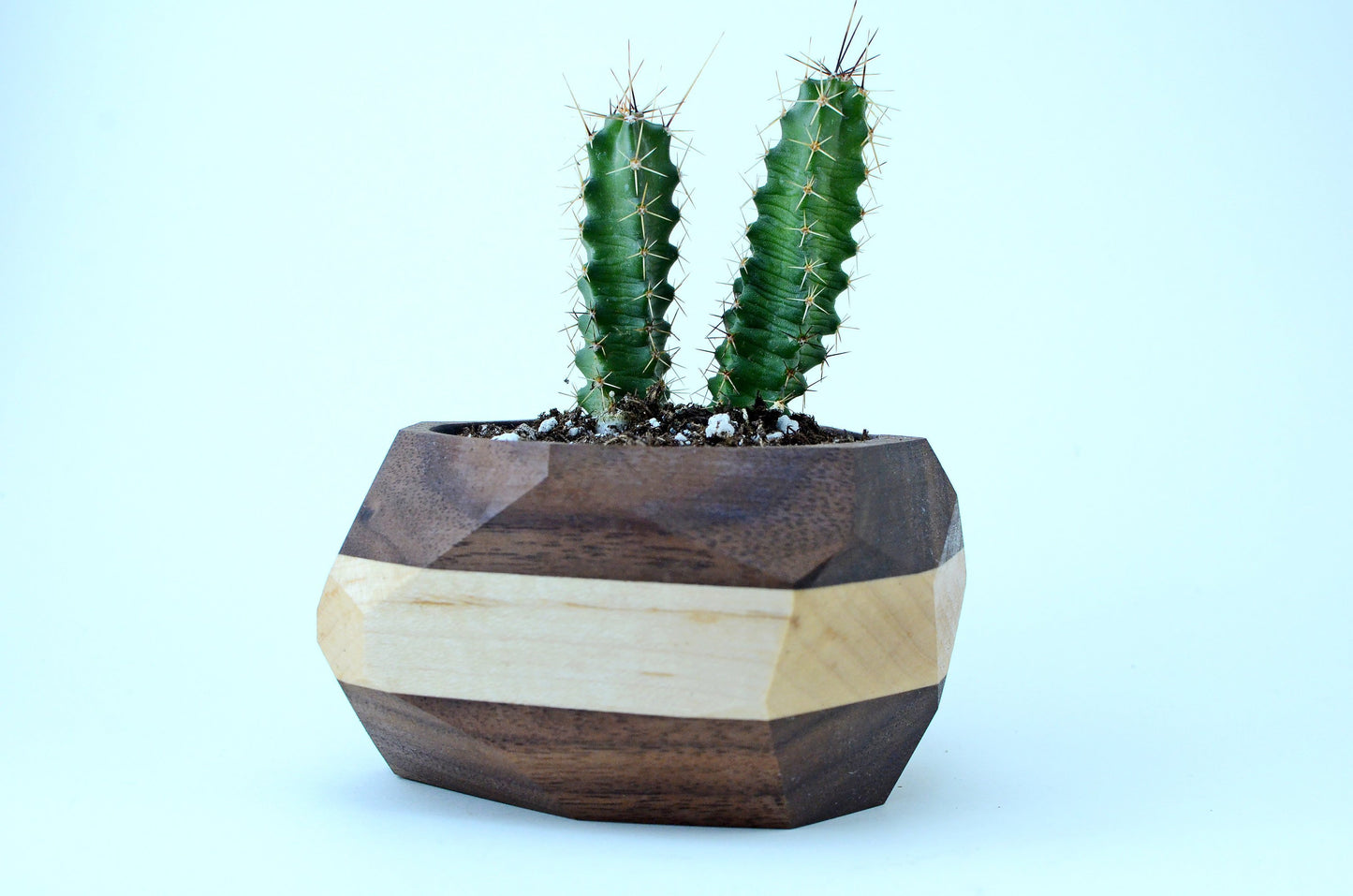Geometric Wooden Planter | Unique Wood Cactus & Succulent Pot Gift