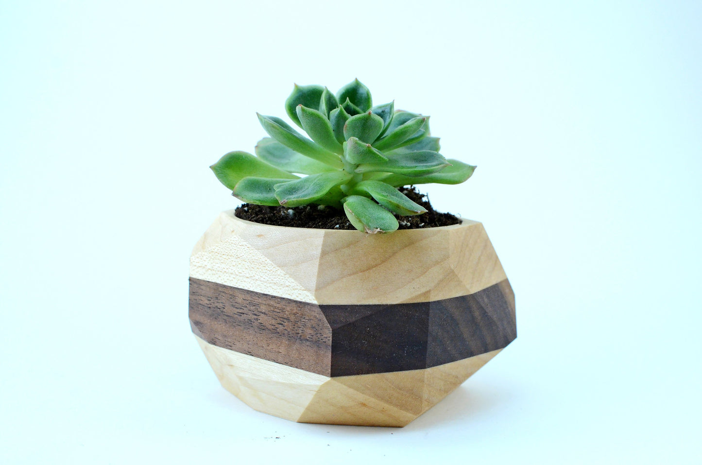 Geometric Wooden Planter | Unique Wood Cactus & Succulent Pot Gift