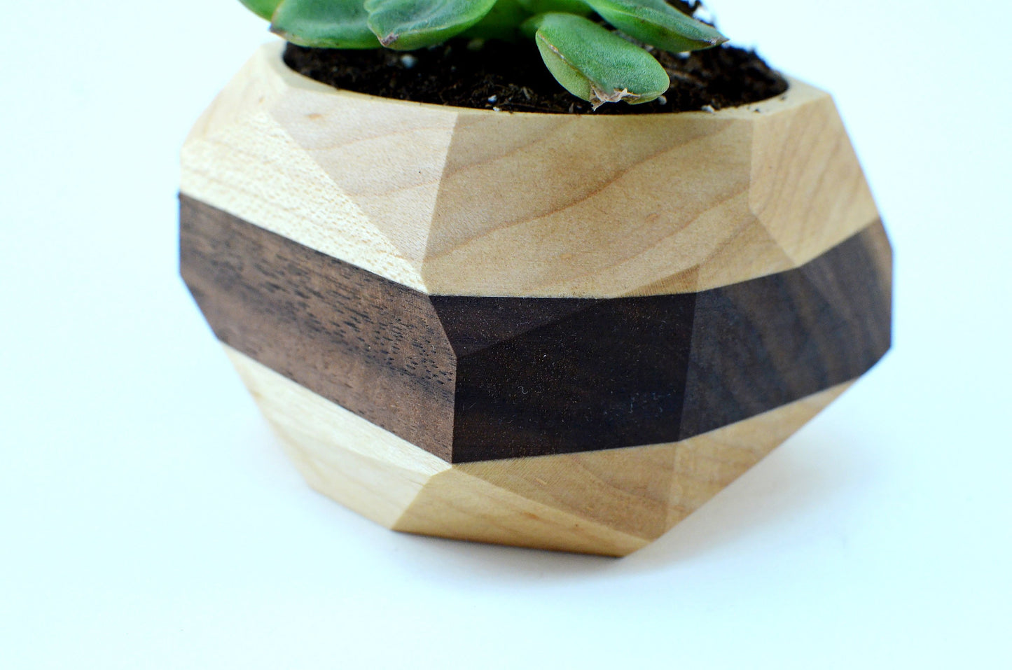 Geometric Wooden Planter | Unique Wood Cactus & Succulent Pot Gift