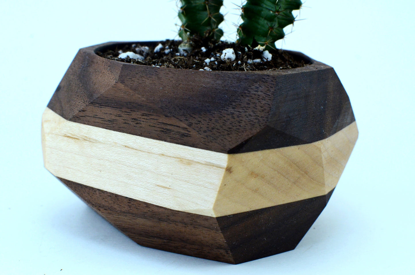 Geometric Wooden Planter | Unique Wood Cactus & Succulent Pot Gift