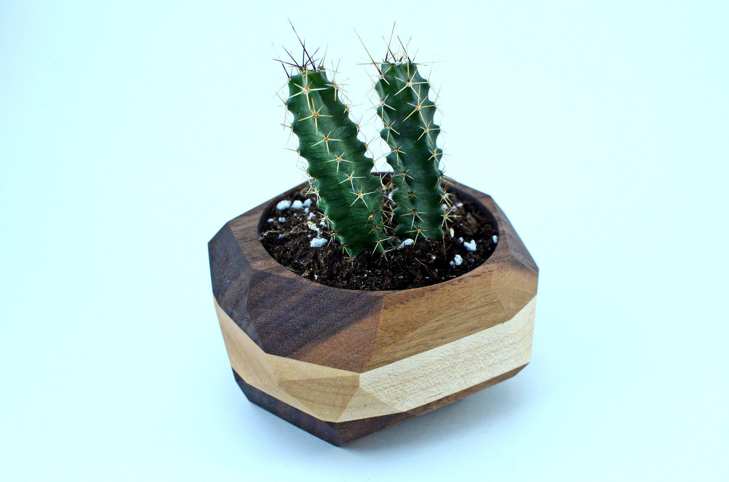 Geometric Wooden Planter | Unique Wood Cactus & Succulent Pot Gift