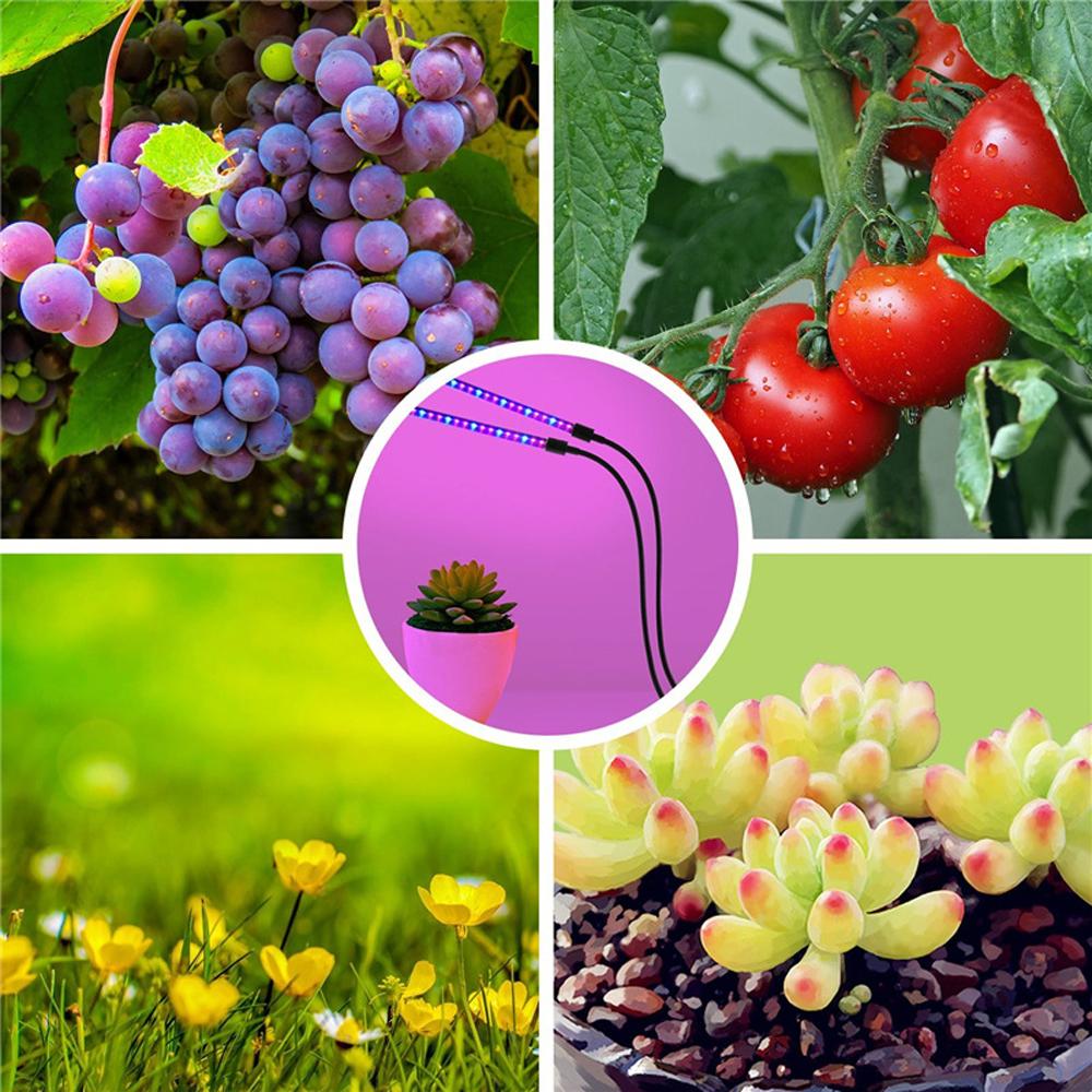 LED Grow Light USB Phyto Lamp Full Spectrum Fitolampy With Control - Chic Plant Boutique