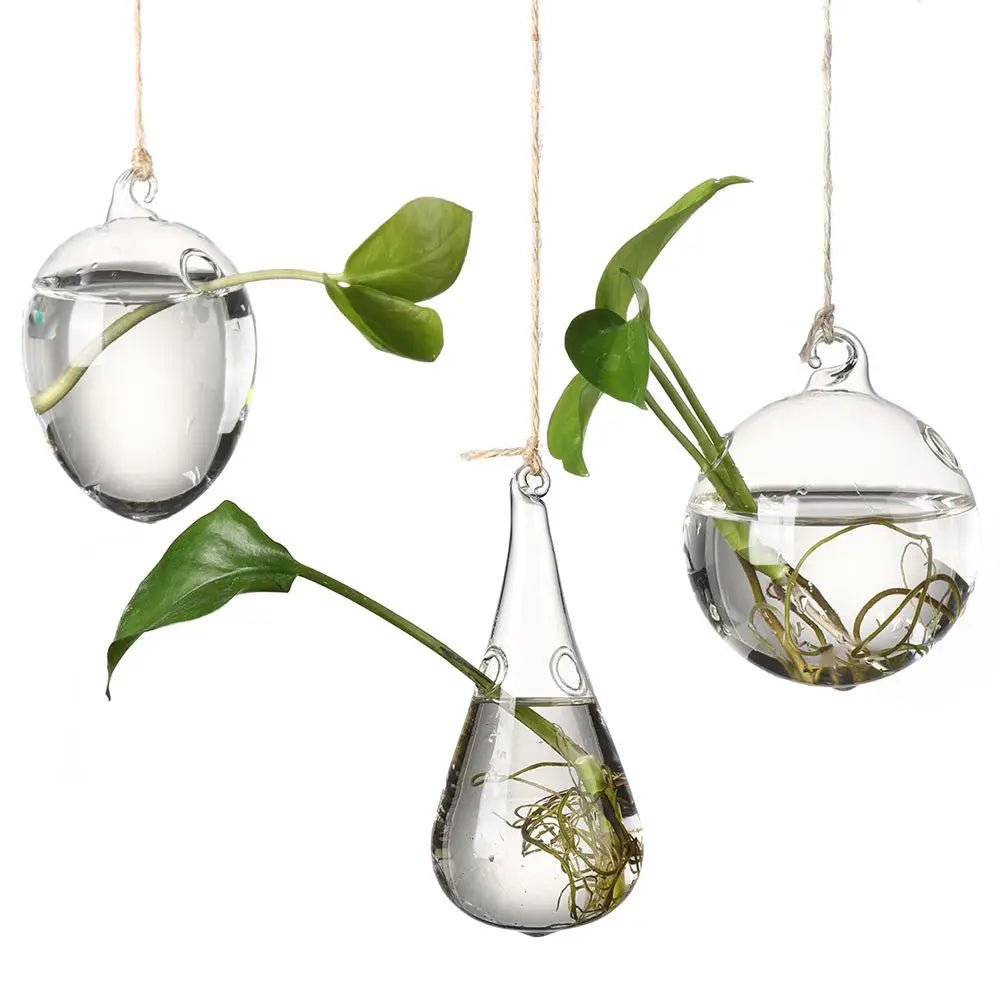 Hanging Glass Orb Plant Vase - Perfect for Hydroponic & Air Plant Displays