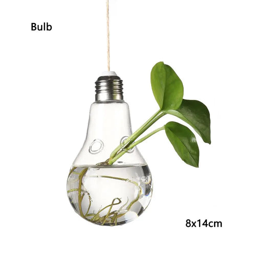 Hanging Glass Orb Plant Vase - Perfect for Hydroponic & Air Plant Displays