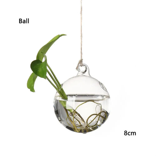 Hanging Glass Orb Plant Vase - Perfect for Hydroponic & Air Plant Displays