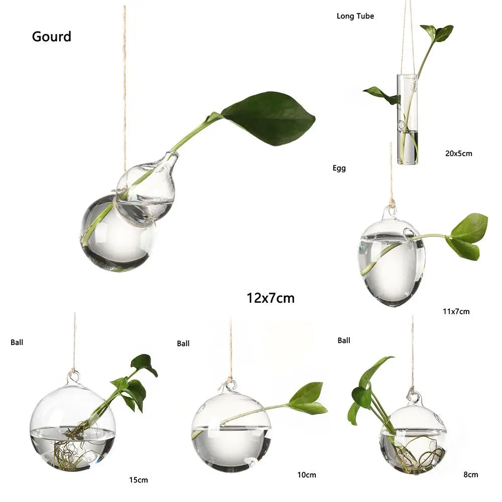 Hanging Glass Orb Plant Vase - Perfect for Hydroponic & Air Plant Displays