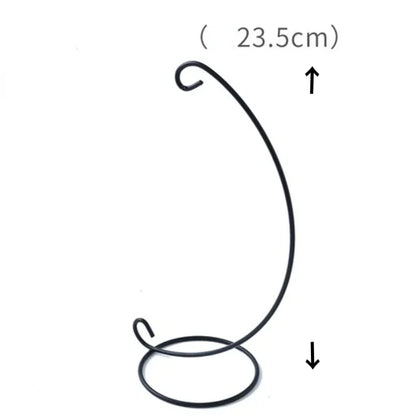 Hanging Glass Vase Air Plant Decorative Bottle | Modern Air Plant Holder