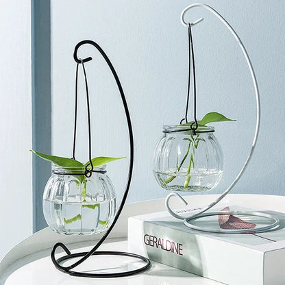 Hanging Glass Vase Air Plant Decorative Bottle | Modern Air Plant Holder