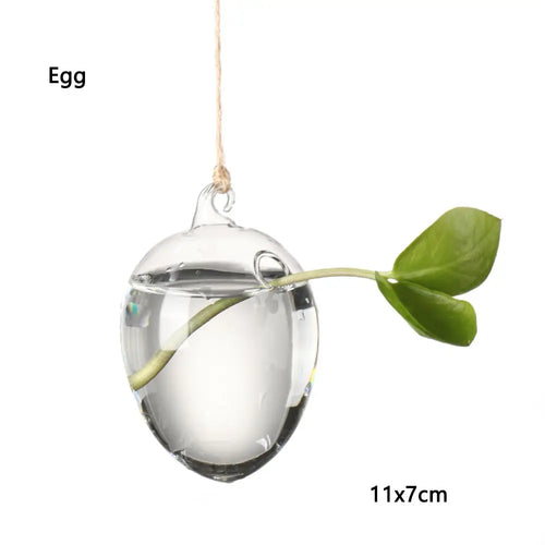 Hanging Glass Orb Plant Vase - Perfect for Hydroponic & Air Plant Displays