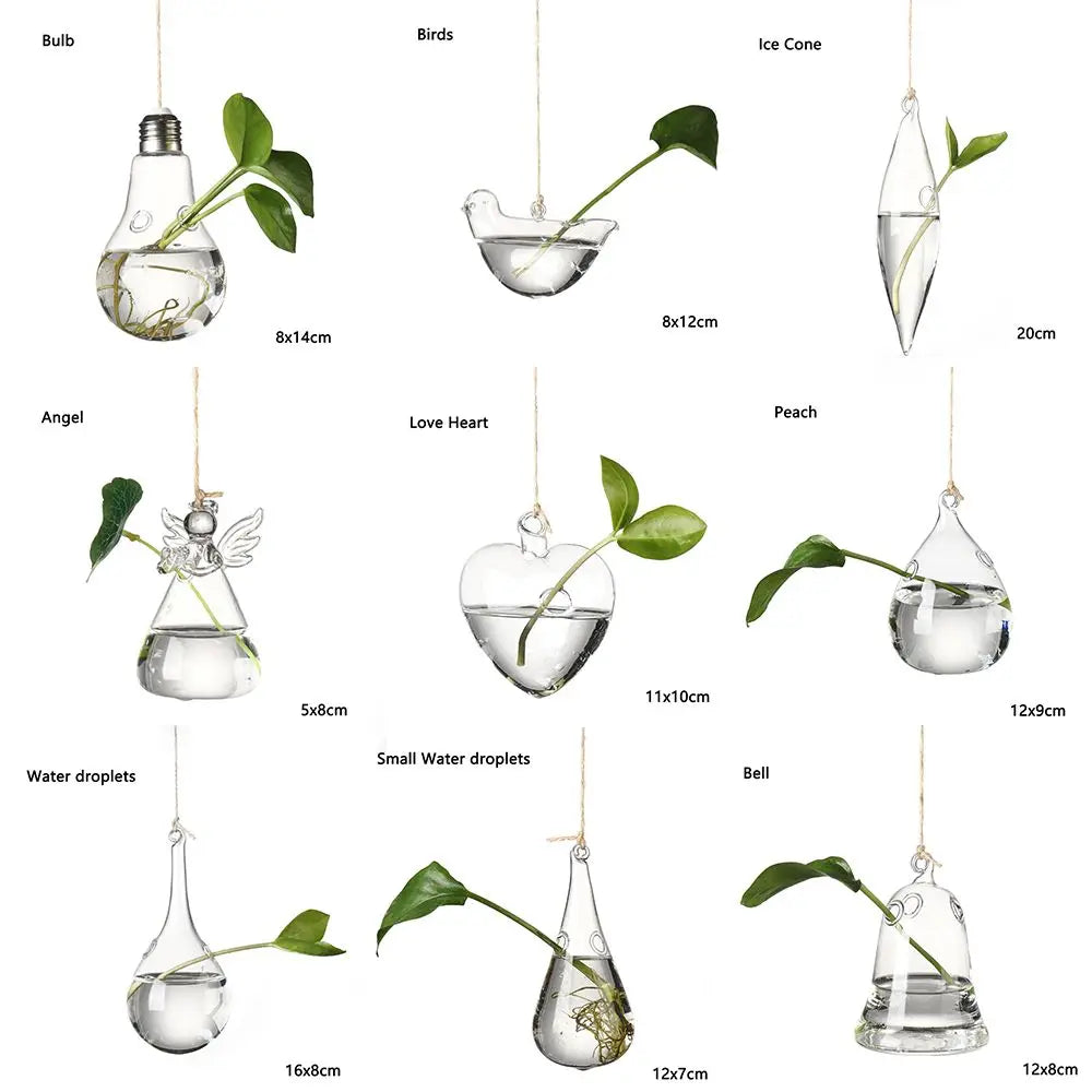 Hanging Glass Orb Plant Vase - Perfect for Hydroponic & Air Plant Displays