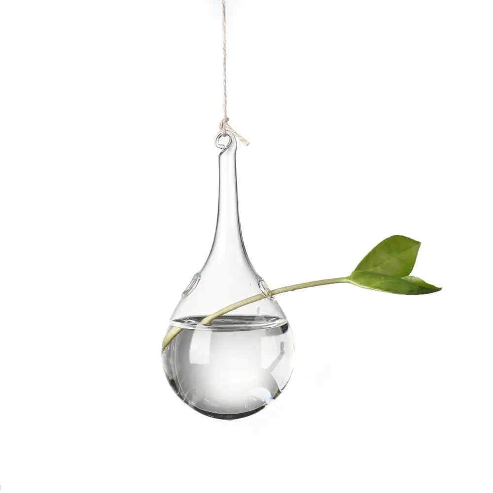 Hanging Glass Orb Plant Vase - Perfect for Hydroponic & Air Plant Displays