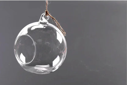 Hanging Glass Vase Air Plant Decorative Bottle | Modern Air Plant Holder