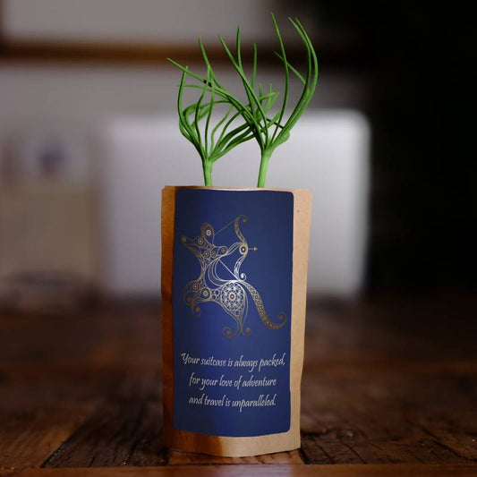 Sagittarius Zodiac Tree Gift, We Plant 10 More Tree - Chic Plant Boutique