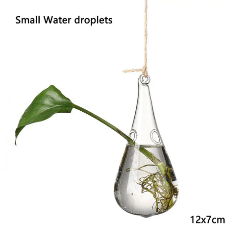 Hanging Glass Orb Plant Vase - Perfect for Hydroponic & Air Plant Displays