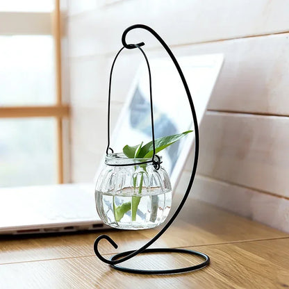 Hanging Glass Vase Air Plant Decorative Bottle | Modern Air Plant Holder