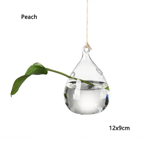 Hanging Glass Orb Plant Vase - Perfect for Hydroponic & Air Plant Displays