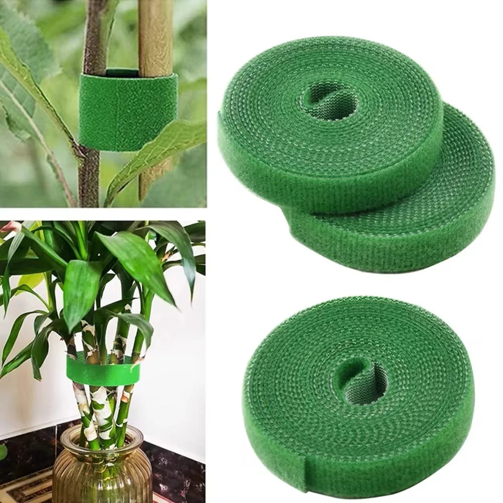 Hook and Loop Plant Support Tape – Keep Your Green Beauties in Line (Literally)