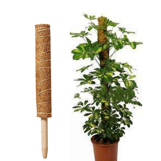 Indoor Climbing Plant Support Pole – Sturdy Stake for Vining Plants & Monstera Growth Support