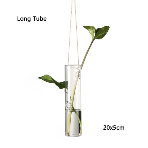 Hanging Glass Orb Plant Vase - Perfect for Hydroponic & Air Plant Displays