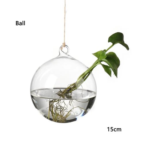 Hanging Glass Orb Plant Vase - Perfect for Hydroponic & Air Plant Displays