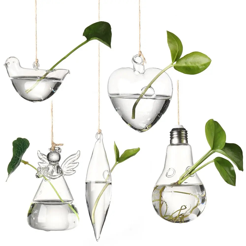 Hanging Glass Orb Plant Vase - Perfect for Hydroponic & Air Plant Displays