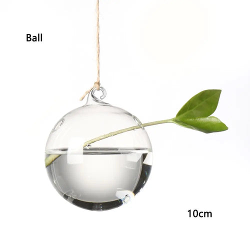 Hanging Glass Orb Plant Vase - Perfect for Hydroponic & Air Plant Displays