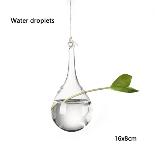 Hanging Glass Orb Plant Vase - Perfect for Hydroponic & Air Plant Displays