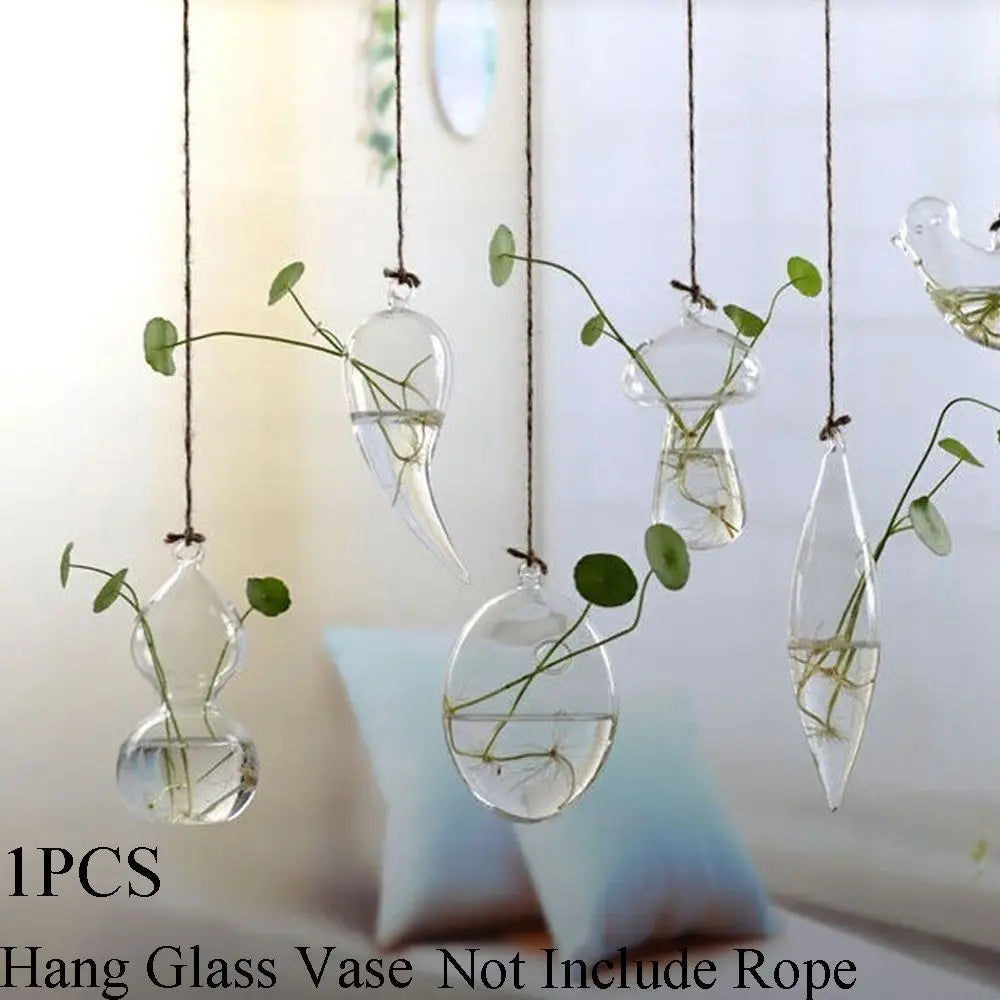 Hanging Glass Orb Plant Vase - Perfect for Hydroponic & Air Plant Displays