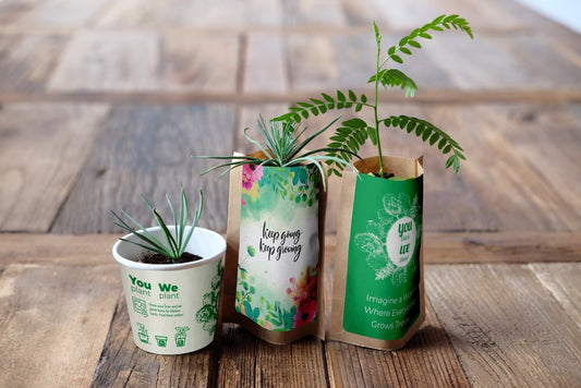 You Plant We Plant Tree Kits Gift Pack, We Plant 30 More Trees - Chic Plant Boutique